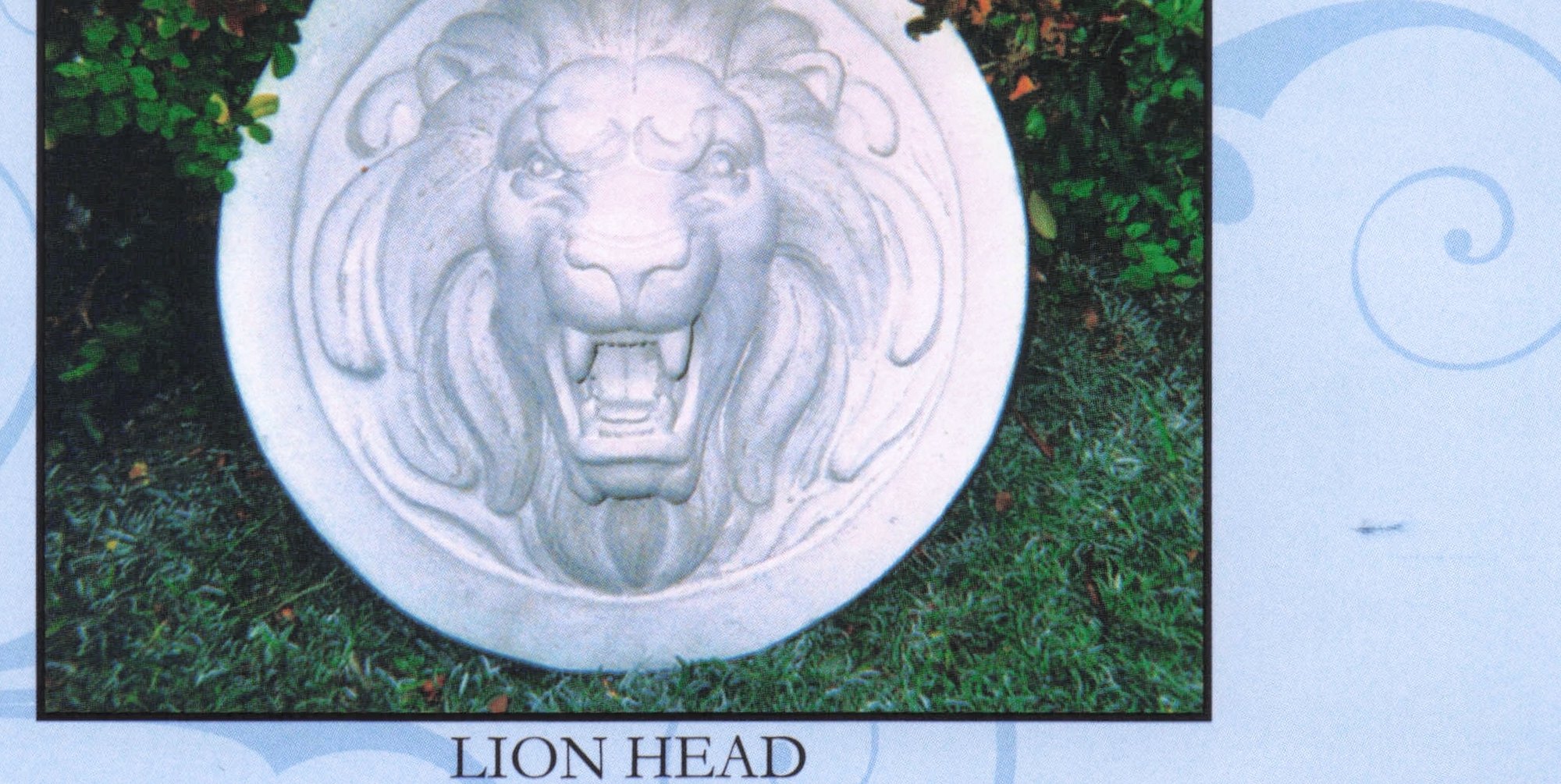 Lion Head